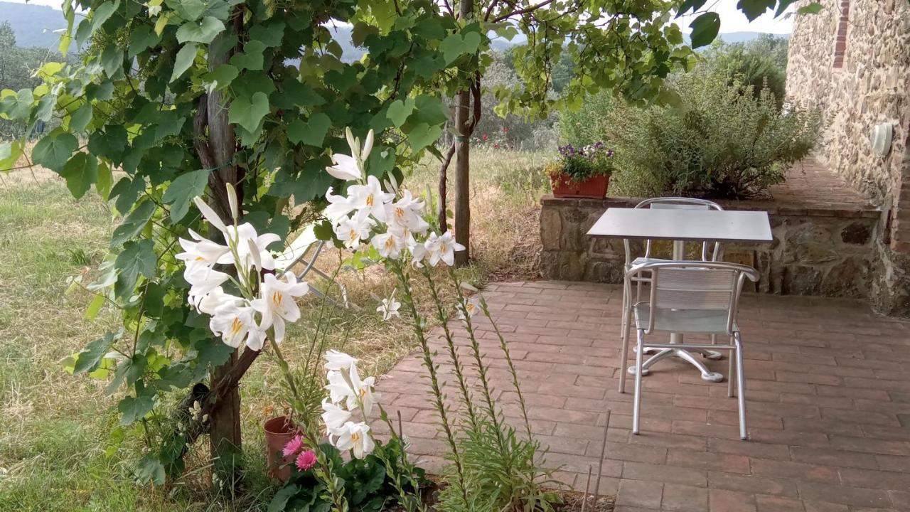 Sport Bikes And Nature Monterotondo  Kültér fotó